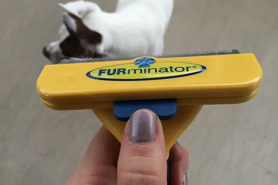 Holding Furminator Deshedding Tool For Dogs