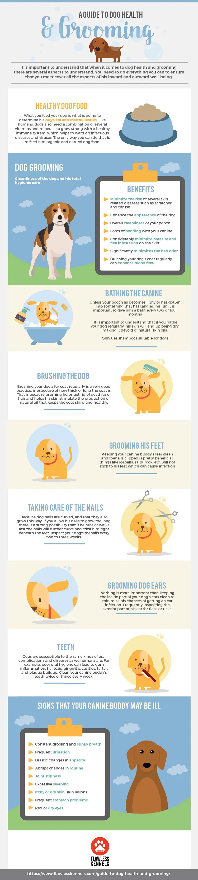 Guide To Dog Health And Grooming