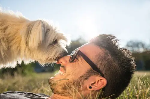 Dog Kissing Man's Nose