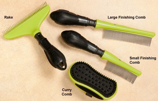 Dog Combs Types you can buy