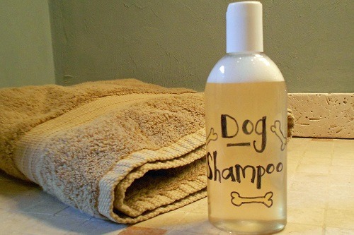 Bottle of a Homemade Dog Shampoo