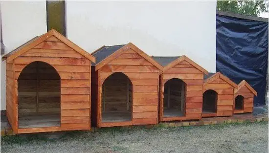 Dog kennels of different sizes in a row.