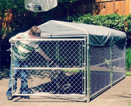 Boy and dog kennel