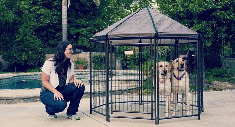 Advantek Pet Gazebo Modular Outdoor Dog Kennel Review